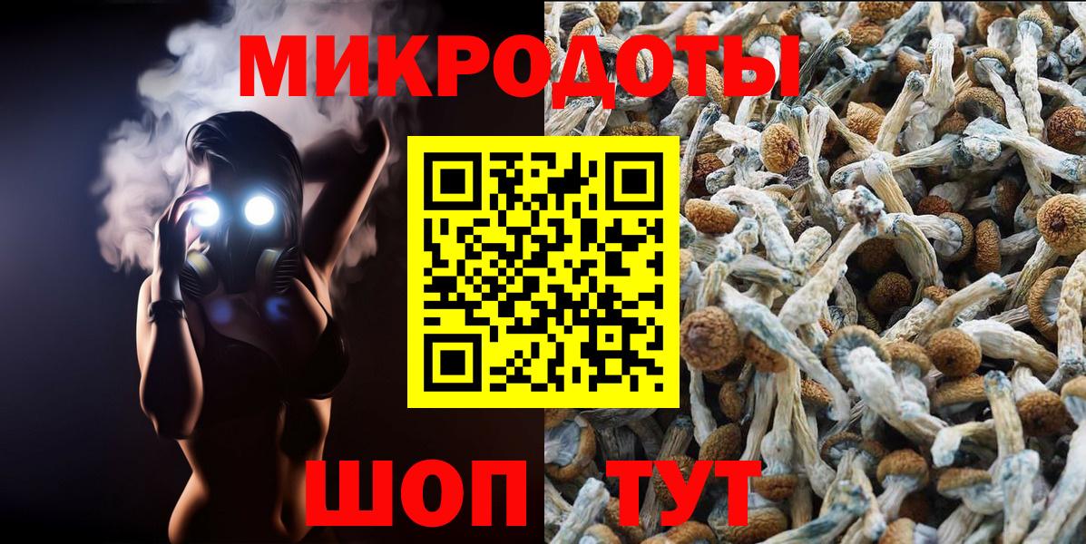 Псилоцибиновые грибы MAGIC MUSHROOMS  Галлюциногенные грибы MAGIC MUSHROOMS  Вход с VPN  Мелеуз 