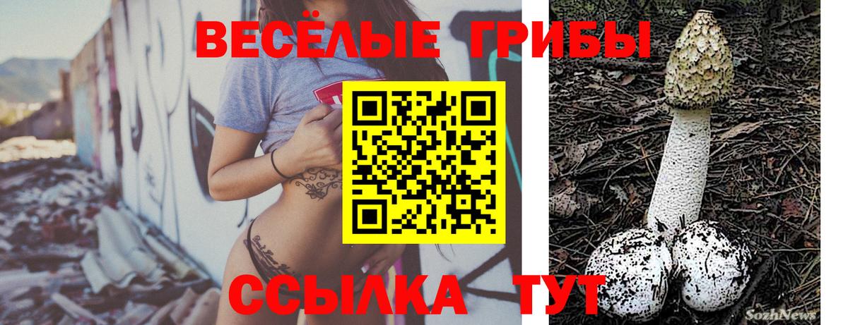 Псилоцибиновые грибы MAGIC MUSHROOMS Мелеуз